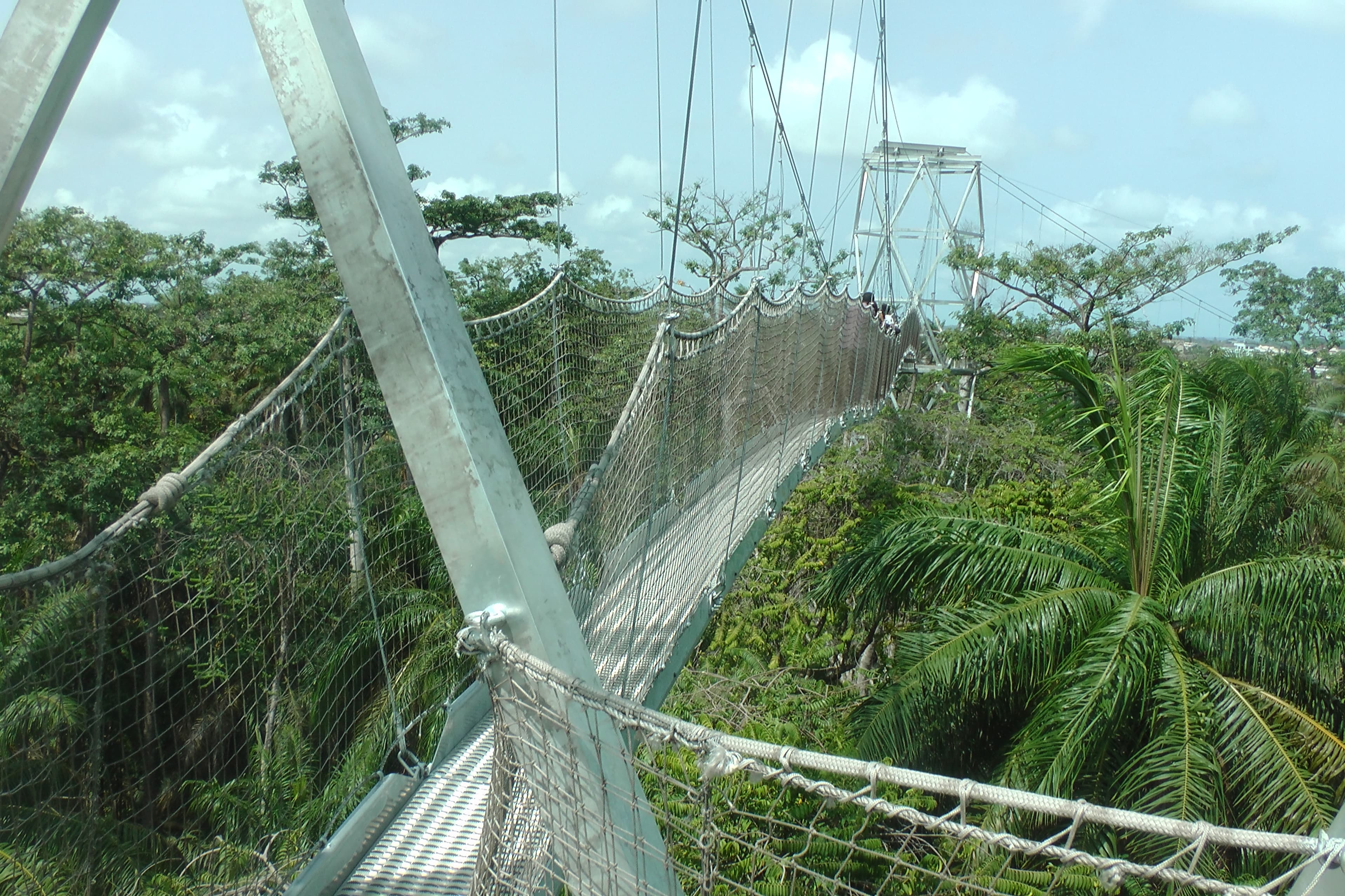 Canopy walkway above the forest at Lekki Conservation Centre